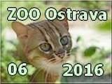  Ostrava 2016